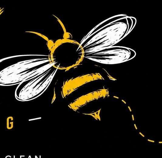 Bizzy Beez Cleaning logo